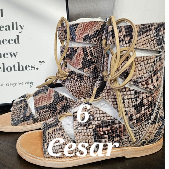 FreeBird CESAR Snake Multi Gladiator Sandals NIB size 6 - Picture 1 of 4
